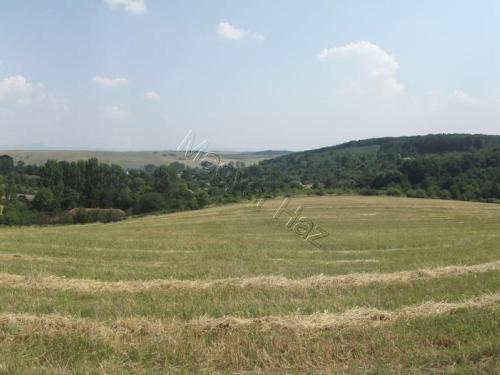 <p>Mooi stuk bouwgrond in een bosrijke omgeving met een rijke biodiversiteit aan fauna en flora.</p>