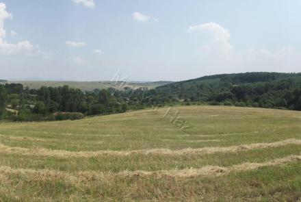 <p>Mooi stuk bouwgrond in een bosrijke omgeving met een rijke biodiversiteit aan fauna en flora.</p>