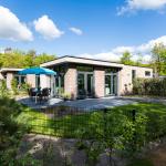 Module Limited Edition Electric